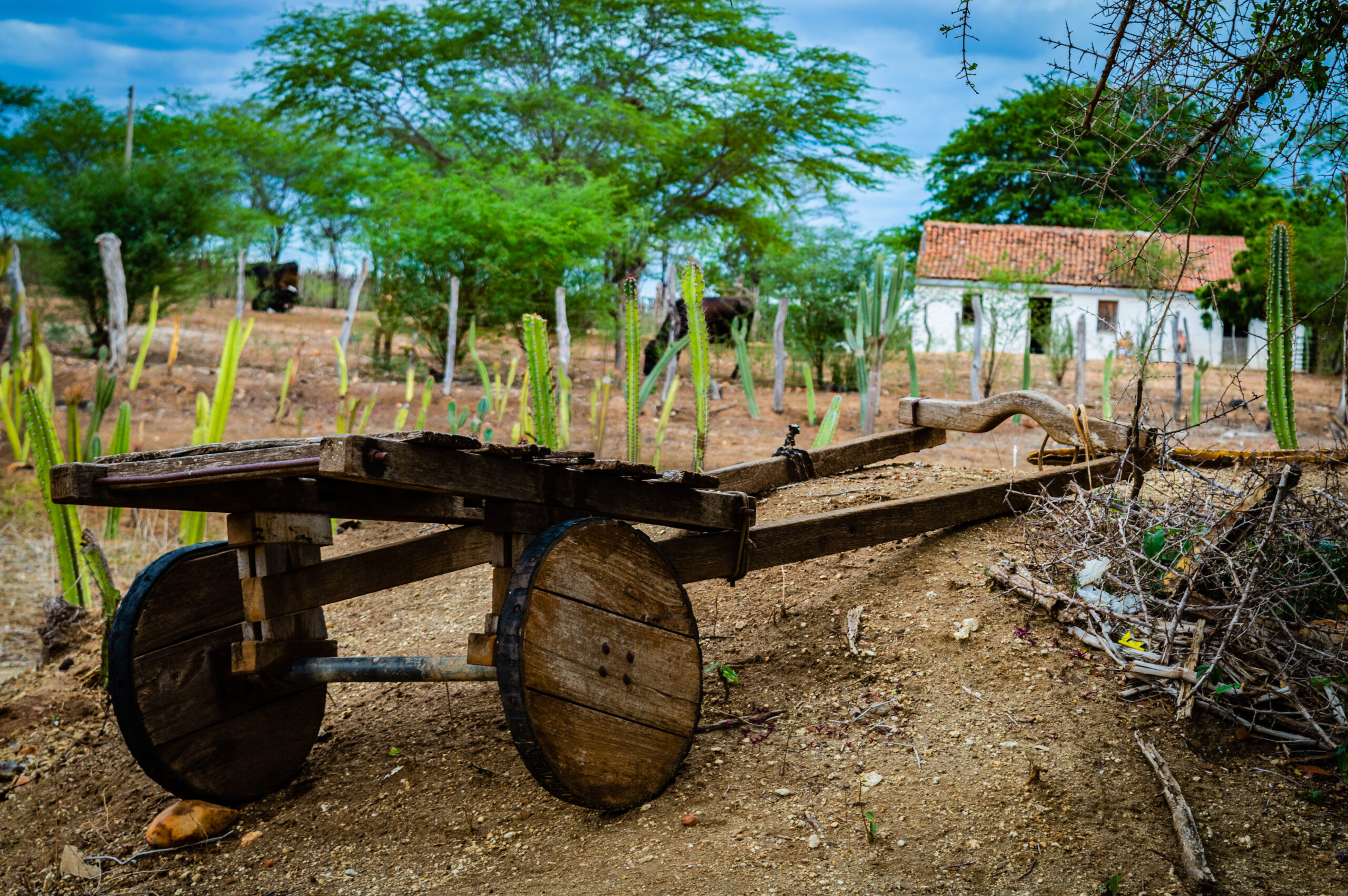 CARRO DE BOI